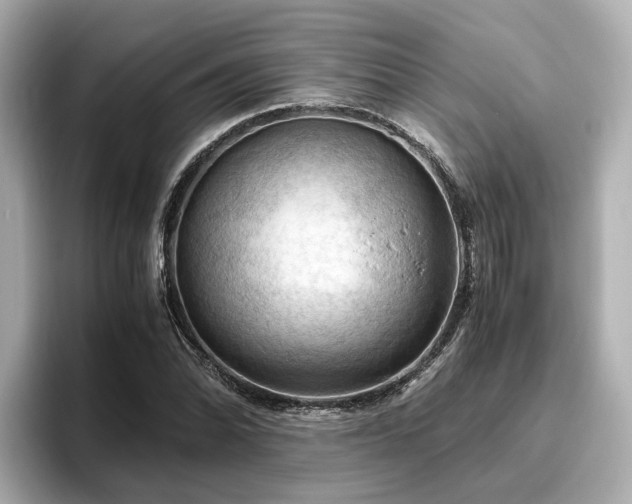 X0000096641070200802051123