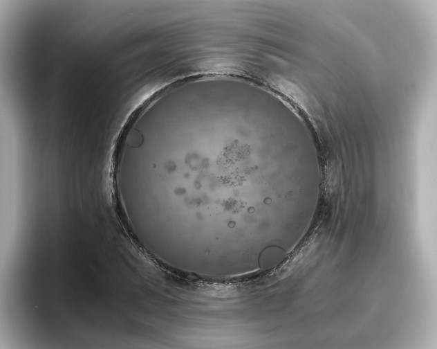 X0000096641071200802051123