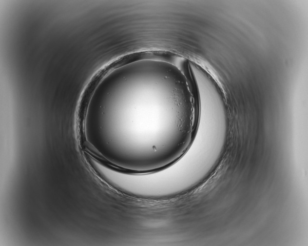 X0000096641072200802051123