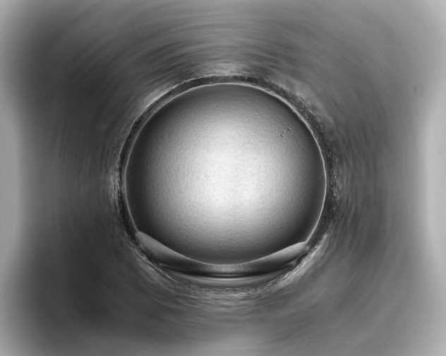 X0000096641073200802051123