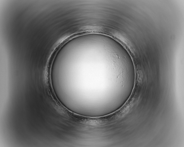 X0000096641074200802051123