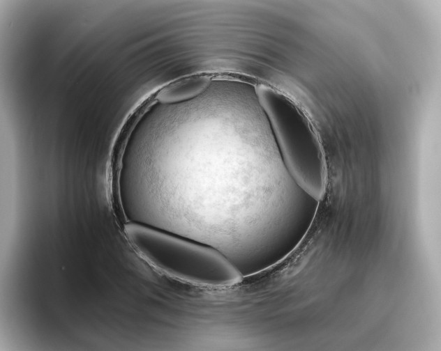 X0000096641076200802051123