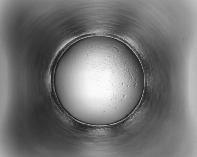 X0000096641078200802051123