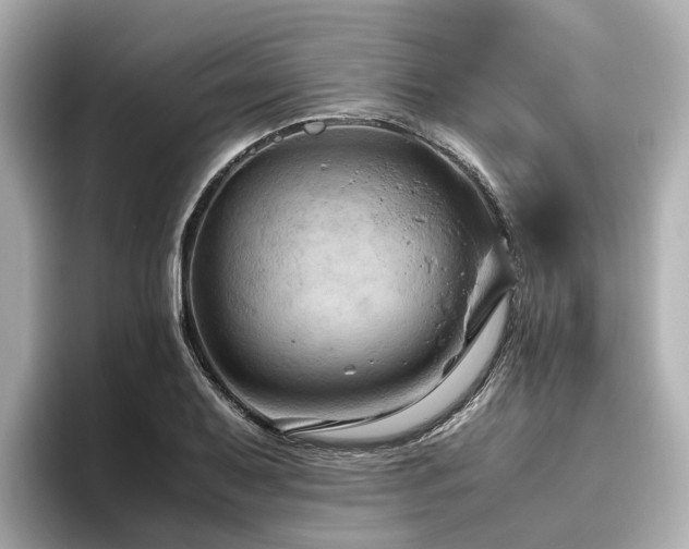 X0000096641079200802051123