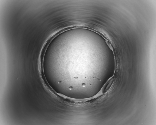 X0000096641080200802051123
