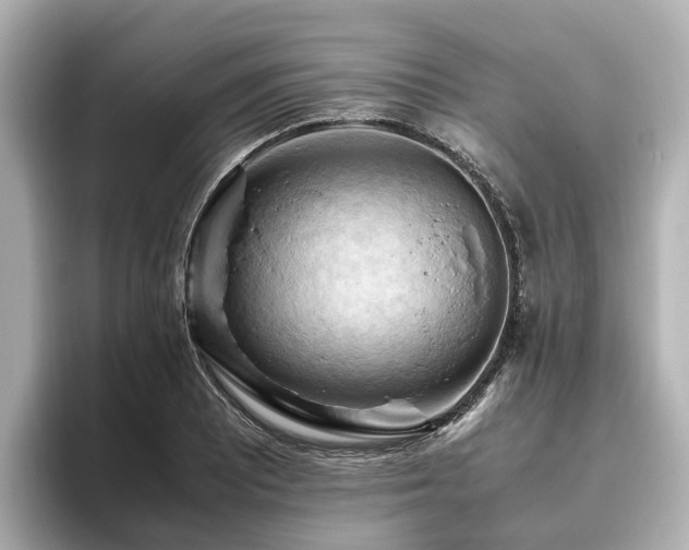X0000096641081200802051123