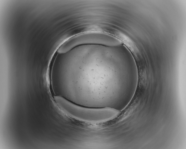 X0000096641084200802051123