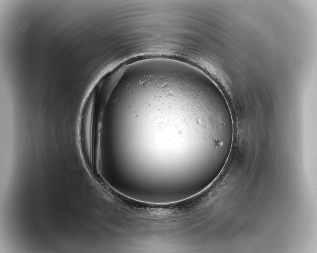 X0000096641085200802051123