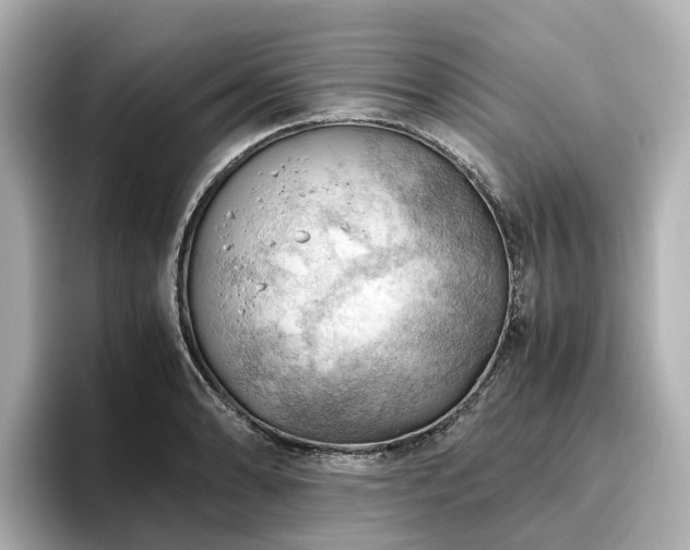 X0000096641086200802051123