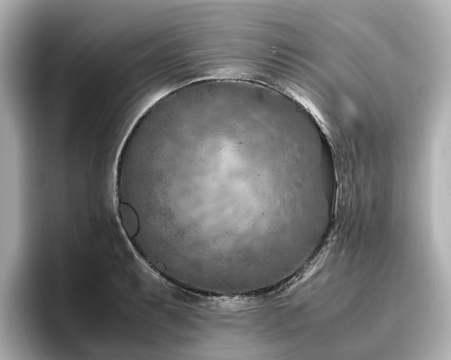 X0000096641087200802051123