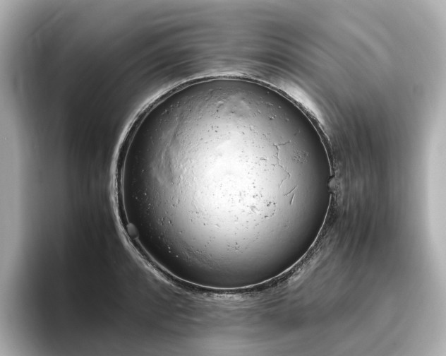 X0000096641088200802051123