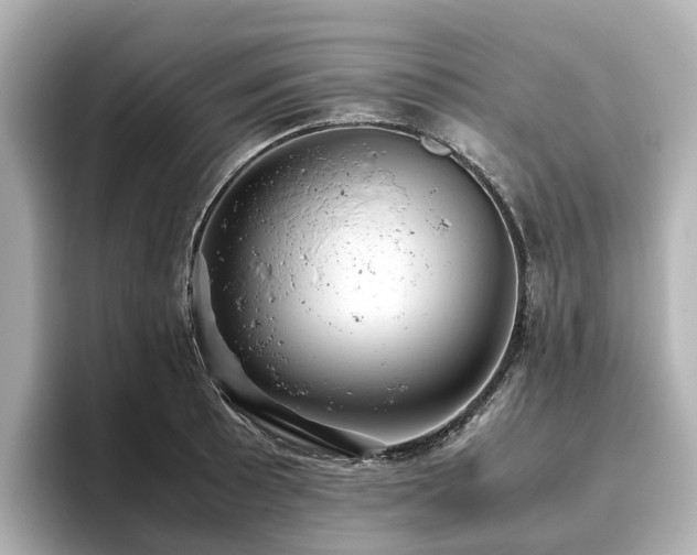 X0000096641089200802051123