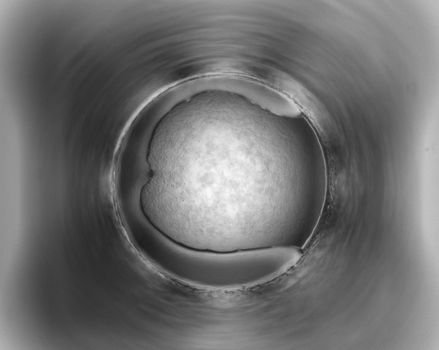 X0000096641092200802051123
