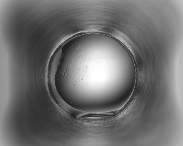X0000096641093200802051123