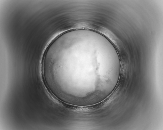 X0000096641094200802051123