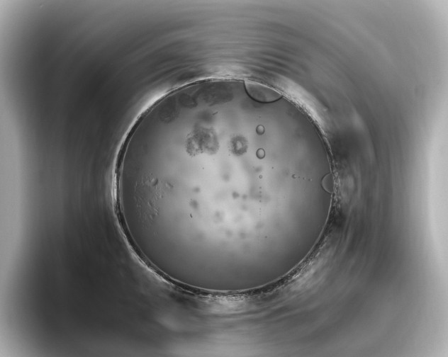 X0000096641095200802051123