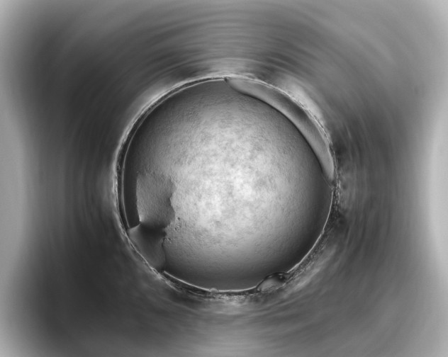 X0000096641096200802051123