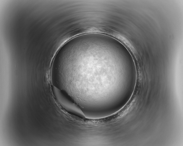 X0000096641097200802051123