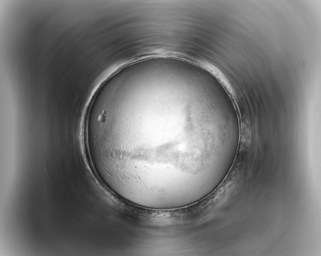 X0000096641098200802051123