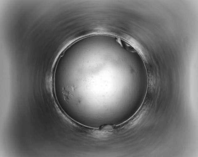 X0000096641100200802051123