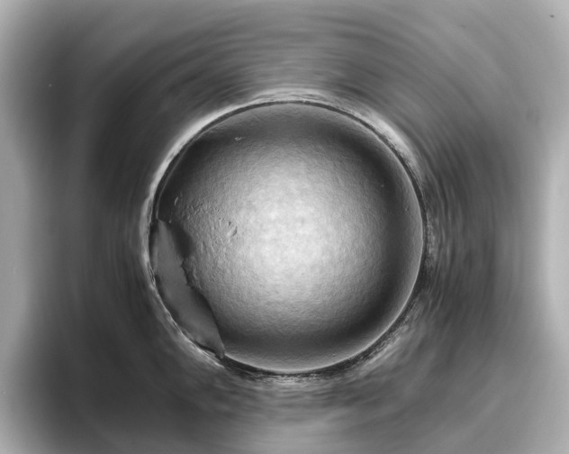 X0000096641102200802051123