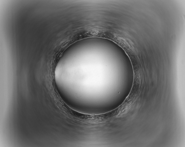 X0000096641105200802051122