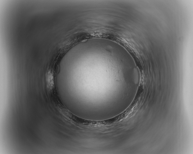 X0000096641106200802051122