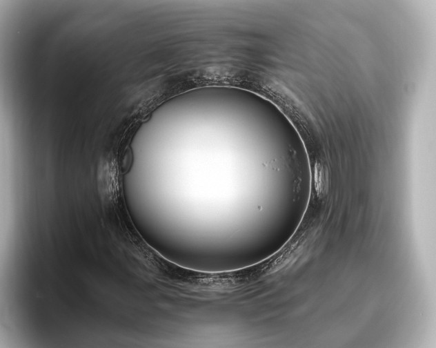 X0000096641107200802051122