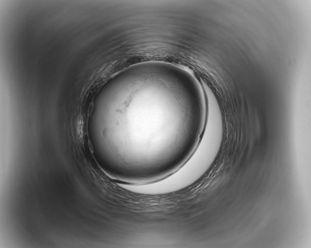 X0000096641108200802051122