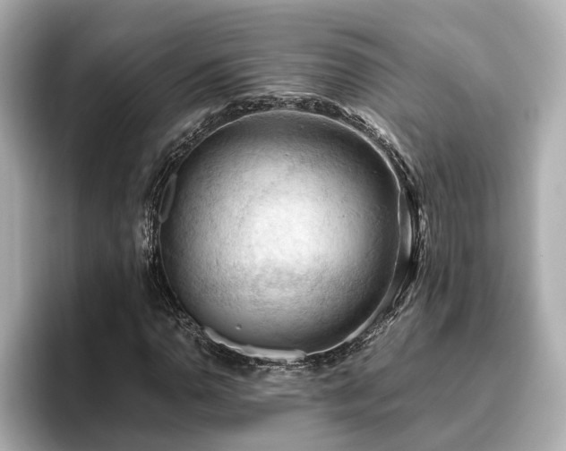 X0000096641110200802051122