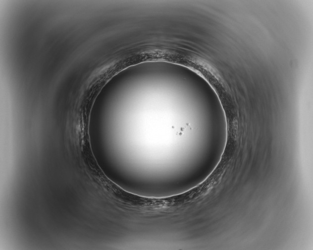 X0000096641111200802051122
