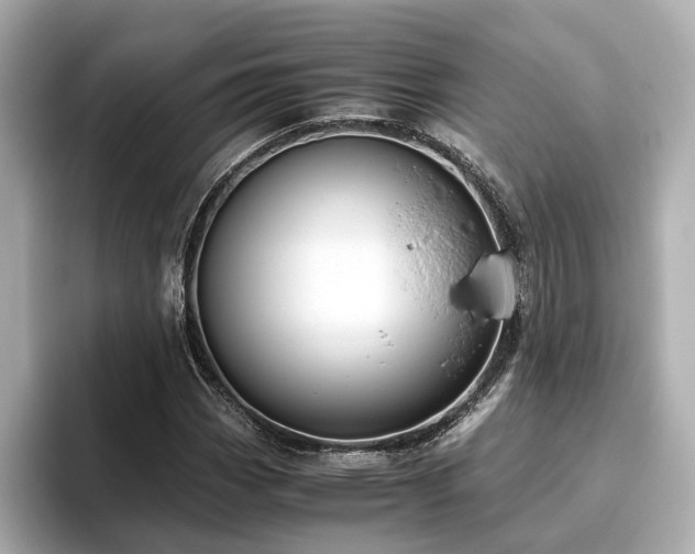 X0000096641113200802051122