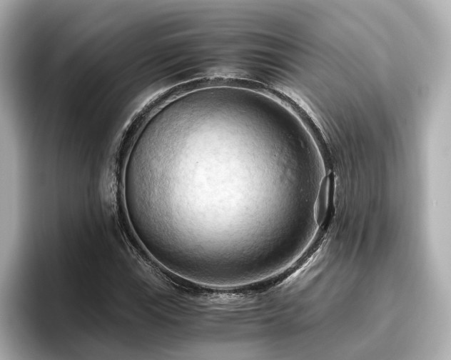 X0000096641115200802051122
