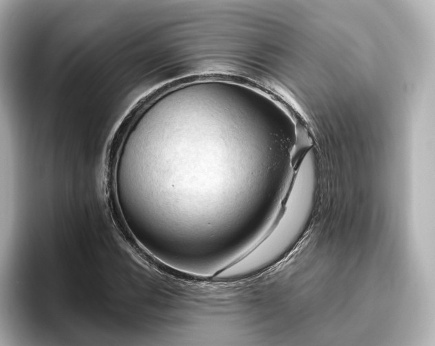 X0000096641116200802051122