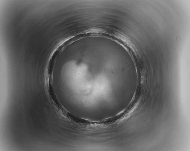 X0000096641117200802051122