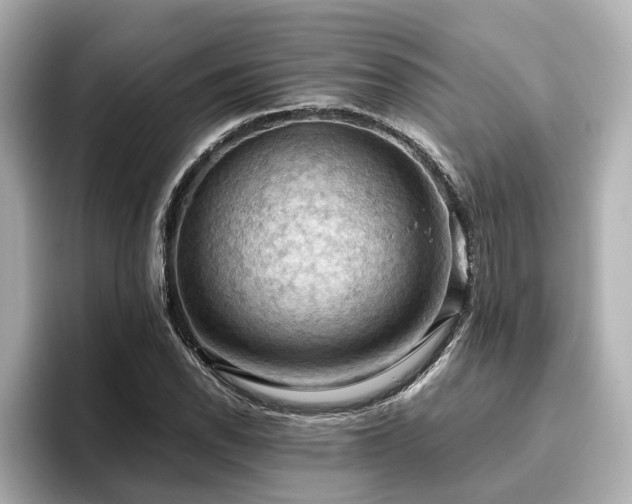 X0000096641118200802051122