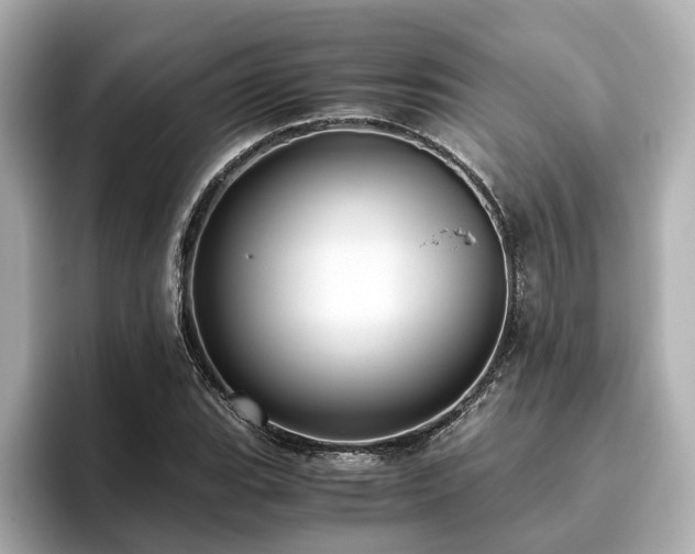 X0000096641119200802051122