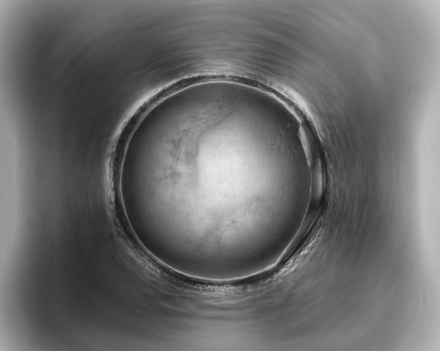 X0000096641120200802051122
