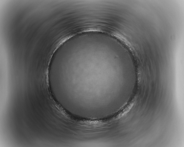 X0000096641121200802051122
