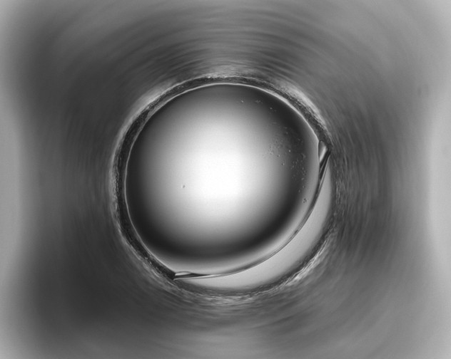 X0000096641122200802051122