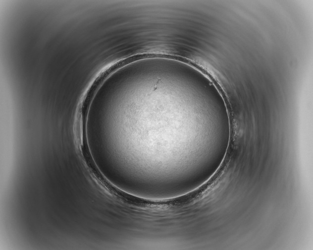 X0000096641123200802051122