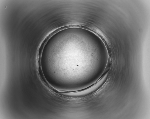 X0000096641124200802051122