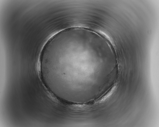 X0000096641125200802051122