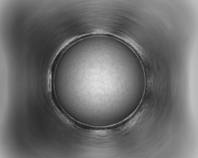 X0000096641126200802051122