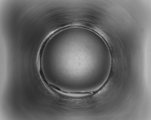 X0000096641127200802051122