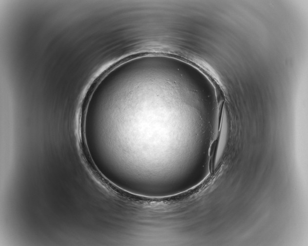 X0000096641128200802051122