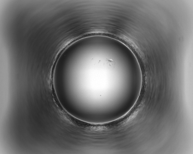 X0000096641129200802051122