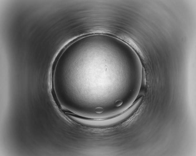 X0000096641132200802051122