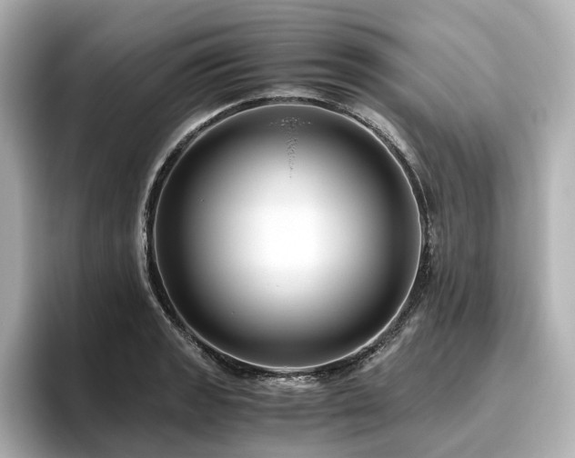 X0000096641133200802051122