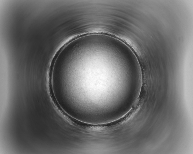 X0000096641134200802051123